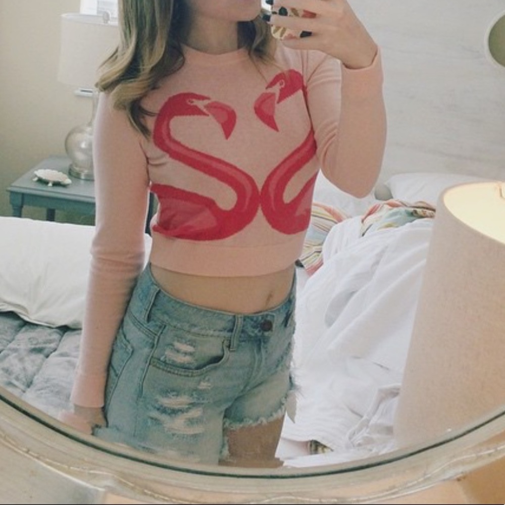 H & M flamingo cropped sweater